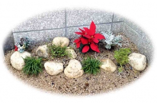 クリスマス前の引き渡しでしたで　下草にポインセチアを入れゴロタ石を合わせました。