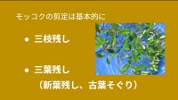 手順１